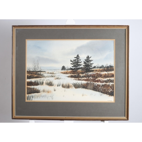 251 - JAMES FLACK 
Bogland Winter
Watercolour
Signed lower right 39cm (h) 53cm (w)