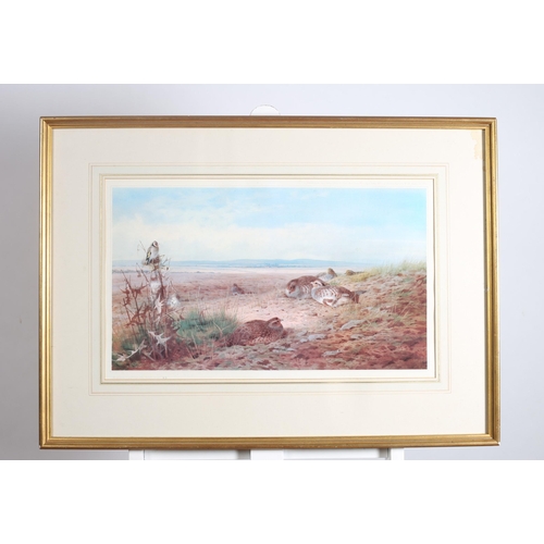 252 - ARCHIBOLD THORBURN
Partridge at The Close of a Summers's Day
A coloured print
Limited edition 
37cm ... 