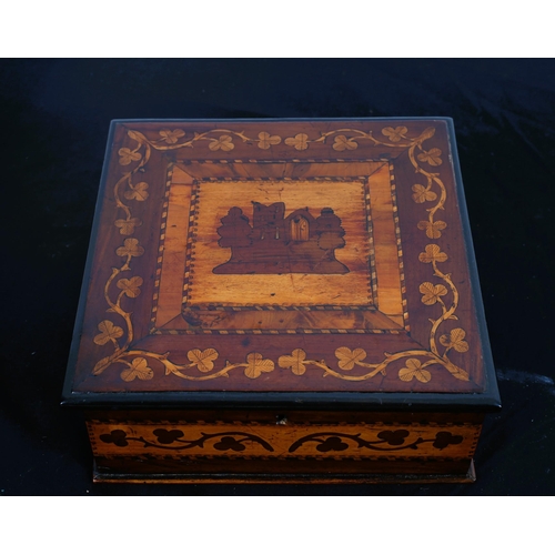 501 - A 19TH CENTURY KILLARNEY WARE BOX with hinged lid inlaid with arbutus and yew wood 
9cm (h) x 22cm (... 