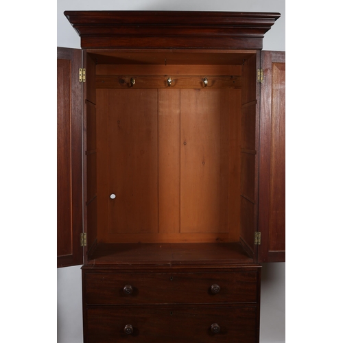 241 - A 19TH CENTURY MAHOGANY WARDROBE the moulded cornice above a pair of panel doors with foliate carvin... 