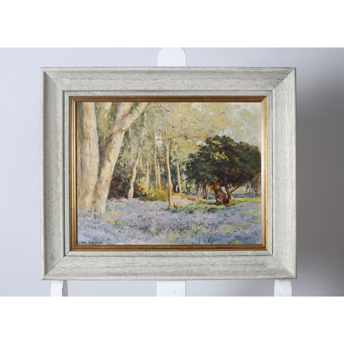 296 - BURG WALKEN
Wooded Landscape
Oil on board
Signed lower left
29cm (h) x 37cm (w)