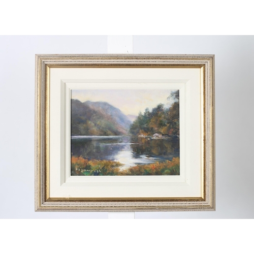 515 - DEIRDRE O'DONNELL
Mountain Lake Scene
Oil on board
Signed lower left
19cm (h) x 25cm (w)