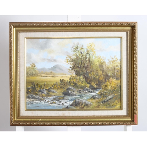 125 - JAMES BUTLER
Mountain Riverscape
Oil on canvas
Signed lower right
30cm (h) x 39cm (w)