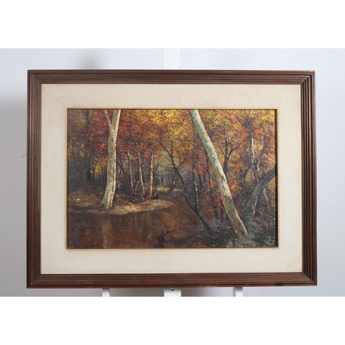 366 - CONTINENTAL SCHOOL
Wooded Landscape with River
Oil on canvas 
Indistinctly signed lower left, dated ... 