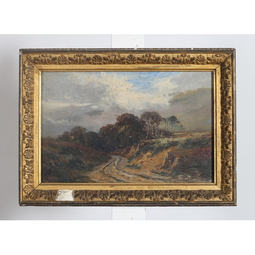 372 - ENGLISH SCHOOL, 19TH CENTURY 
Mountain and Riverscapes
Oil on canvas
A pair
Each 19cm (h) x 19cm (w)