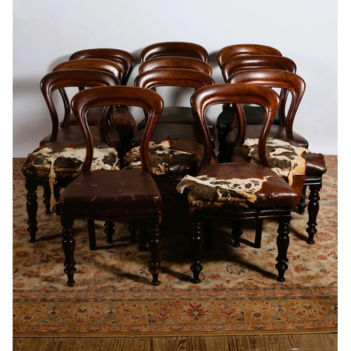 215 - A HARLEQUIN SET OF ELEVEN VICTORIAN MAHOGANY DINING CHAIRS each with a curved top rail with upholste... 