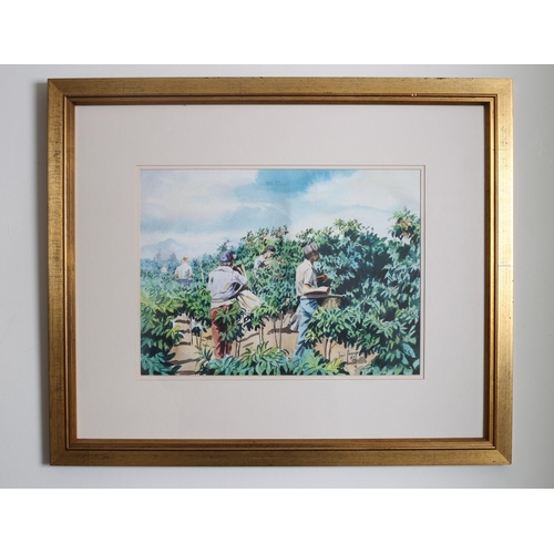 683 - Picking the Crops
Watercolour
Signed Jose Mange dated '89
27cm (h) x 37cm (w)