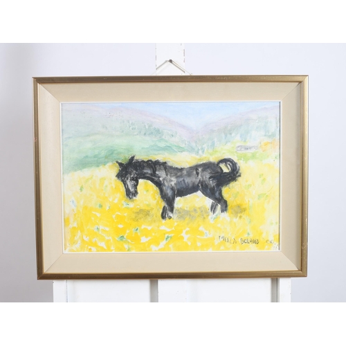 278 - MELLA BOLAND
Black Horse in a Yellow Field
Oil on canvas board
Signed lower right
30cm (h) x 43cm (w... 