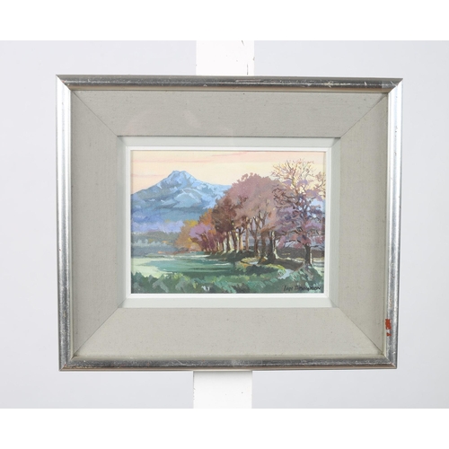 317 - IAN THOMPSON 
A View of The Sugar Loaf and Trees on Ballyman Lane 
Oil on canvas board
Signed lower ... 