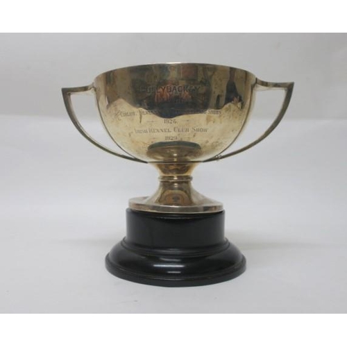 536 - A SILVER TWO HANDLED TROPHY Birmingham 1925 14 troy ounces inscribed 'Cullybackey 1st Prize Carlow K... 