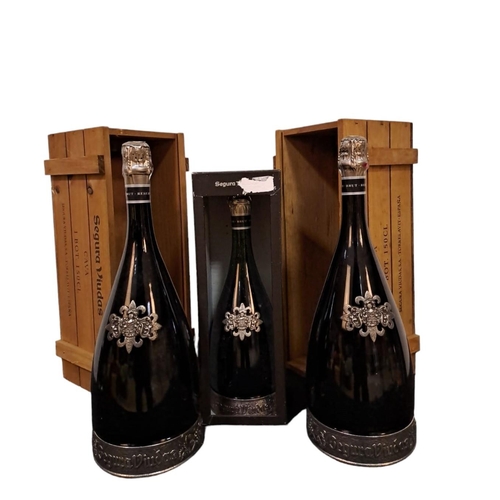 458 - Two 1.5L bottles of Segura Viudas Brut Reserva Heredad Cava in pine cases together with a 75cl bottl... 