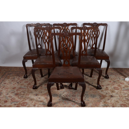 245 - A SET OF SIX CHIPPENDALE STYLE MAHOGANY DINING CHAIRS each with a serpentine carved top rail with pi... 