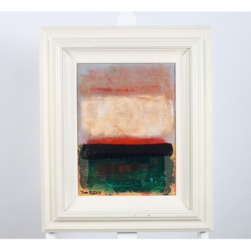 149 - TOM BYRNE 
High Tide Dublin Bay 
Abstract
Oil on canvas
Signed lower left 
40cm (h) x 28cm (w)