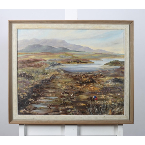 299 - P. HANNON 
Bog Road Clifden
Oil on canvas
Signed lower right
40cm (h) x 50cm (w)