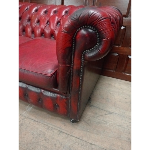 355 - A VICTORIAN STYLE HIDE UPHOLSTERED SETTEE the deep buttoned scroll over back and arms with loose cus... 