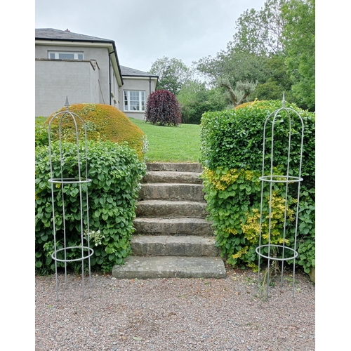 364 - A PAIR OF WROUGHT IRON CLIMBERS each of dome form with fleur de lis finial 
214cm (h) x 42cm (d)