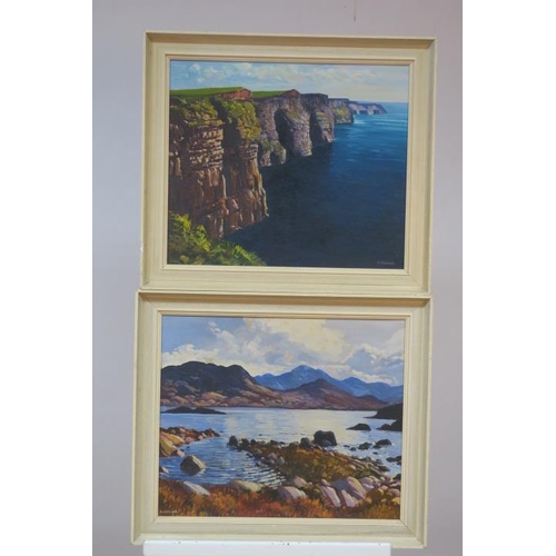 636 - C. CAULDWELL
Seashore with Cliffs
Oil on board
48cm (h) x 57cm (w)
C. CAULDWELL
Lake and Mountain Sc... 