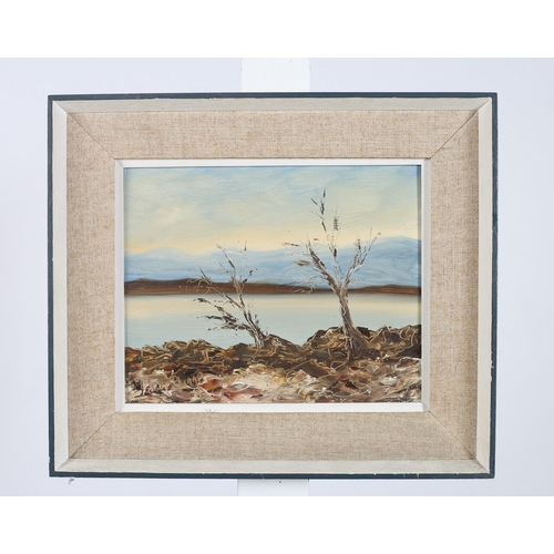 329 - PATRICK DUNNE Mountain Riverscape Oil on board Signed lower left 19cm (h) x 24cm (w), PATRICK DUNNE ... 