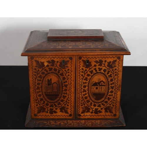 287 - A 19TH CENTURY KILLARNEY WARE CABINET of rectangular form inlaid with Muckross Abbey, thistles and s... 