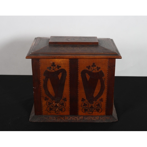 287 - A 19TH CENTURY KILLARNEY WARE CABINET of rectangular form inlaid with Muckross Abbey, thistles and s... 