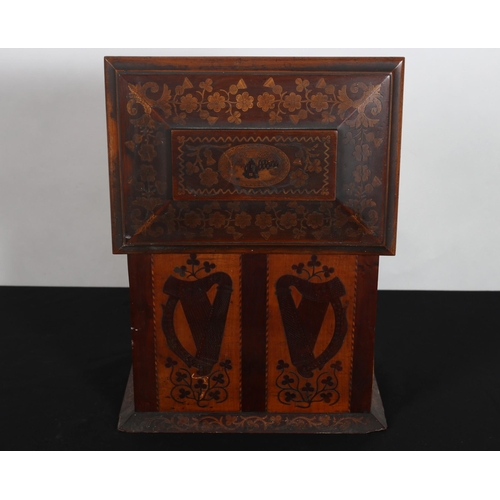 287 - A 19TH CENTURY KILLARNEY WARE CABINET of rectangular form inlaid with Muckross Abbey, thistles and s... 