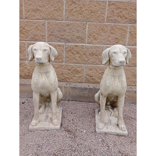 387 - A PAIR OF COMPOSITION STONE FIGURES each modelled as a hound shown seated on a rectangular base 72cm... 