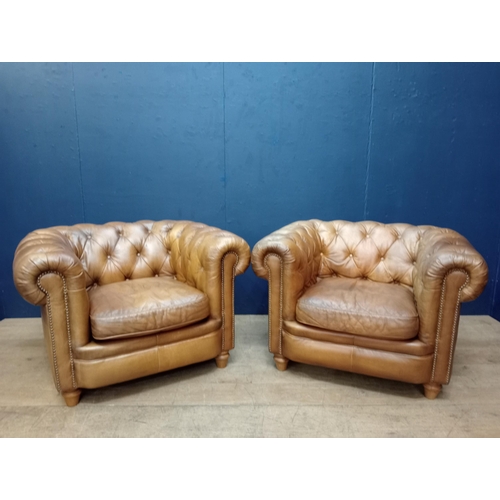 392 - A PAIR OF HIDE UPHOLSTERED CLUB CHAIRS each with deep buttoned upholstered scroll over back and arms... 