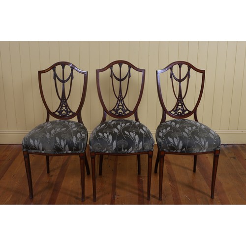 74 - A SET OF THREE EDWARDIAN MAHOGANY AND SATINWOOD INLAID SIDE CHAIRS each with a shield shaped back wi... 