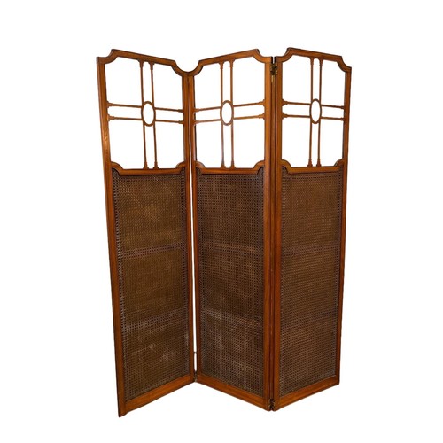 250 - AN EDWARDIAN SATINWOOD GLAZED AND BERGERE THREE FOLD SCREEN with rectangular shaped panels 177cm (h)... 