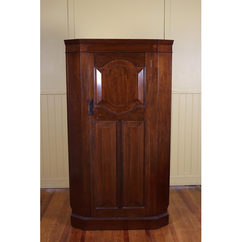 19 - A VINTAGE MAHOGANY CORNER WARDROBE the panelled door containing three open shelves with hanging rail... 