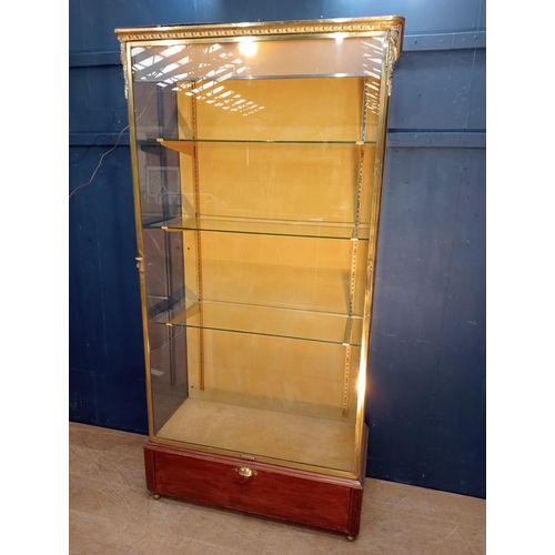 458 - A FINE 19TH CENTURY BRONZE GLAZED SHOP DISPLAY CABINET with three adjustable glazed shelves the base... 