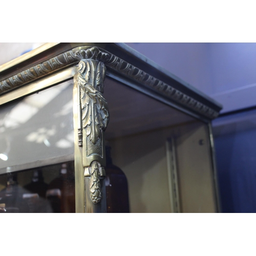 458 - A FINE 19TH CENTURY BRONZE GLAZED SHOP DISPLAY CABINET with three adjustable glazed shelves the base... 