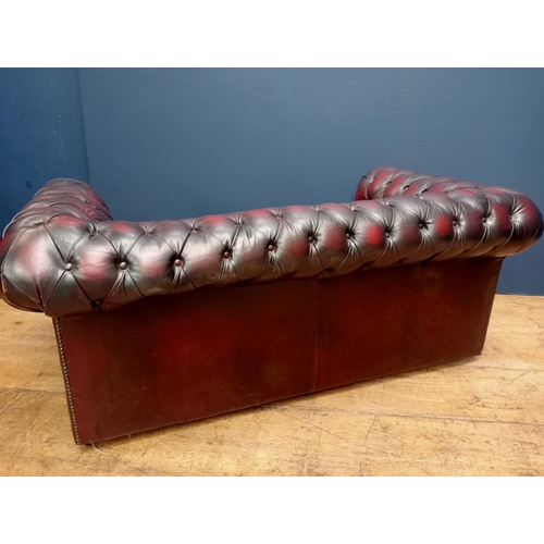 488 - A VICTORIAN STYLE HIDE UPHOLSTERED LIBRARY SETTEE with deep buttoned upholstered back and seat with ... 