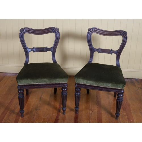 560 - A PAIR OF REGENCY MAHOGANY SIDE CHAIRS each with a reeded frame and upholstered seats on tapering lo... 