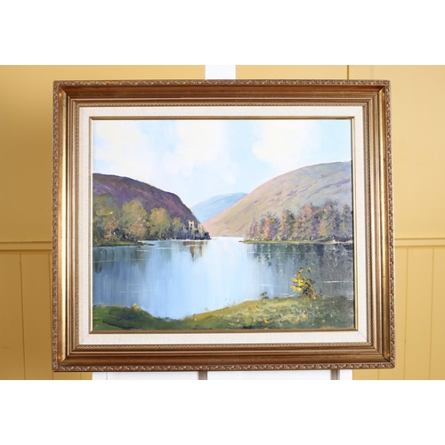 164 - TOM MCGOLDRICK Mountain Riverscape Oil on canvas Signed lower left 40cm (h) x 51cm (w)