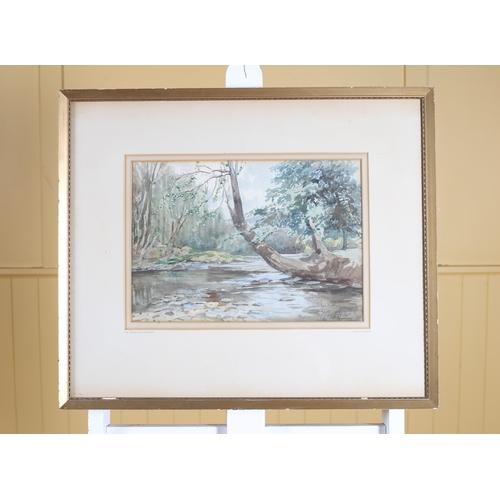 285 - DONALD MCPHERSON The Shimna River Newcastle Watercolour Signed lower right 25cm (h) x 36cm (w), A C&... 