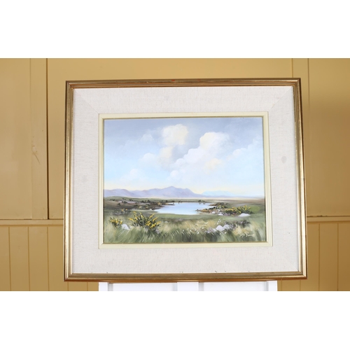 133 - GAY POWER Connemara Oil on canvas Signed lower right 36cm (h) x 44cm (w)