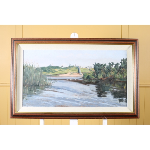 129 - RIVERSCAPE WITH SWANS Oil on board Indistinctly signed lower left 43cm (h) x 73cm (w)