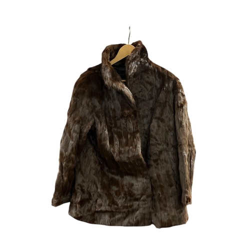 539 - A SQUIRREL FUR COAT approximately size 14