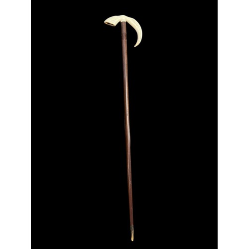 534 - A HARDWOOD HORN HANDLE WALKING STICK