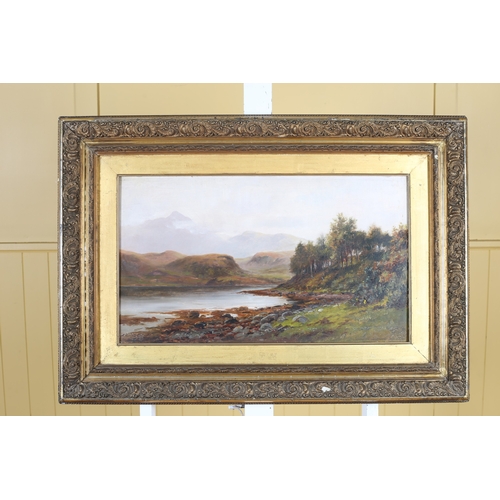 146 - ALEXANDER WILLIAMS (R.H.A.) Mountain Riverscape Oil on board Signed lower right 36cm (h) x 59cm (w)