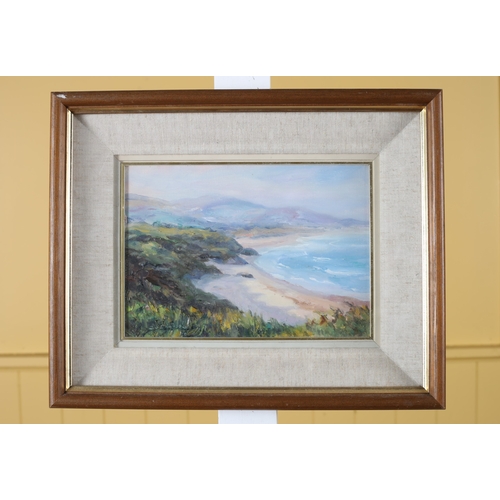 139 - DEIRDRE O'DONNELL Brittas Bay Oil on panel Signed lower left 17cm (h) x 24cm (w)