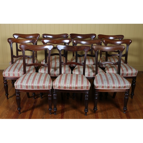 50 - A SET OF ELEVEN 19TH CENTURY MAHOGANY DINING CHAIRS each with a curved top rail and splat with uphol... 