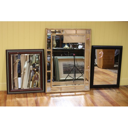 650 - A GILT FRAME COMPARTMENTED MIRROR 111cm (h) x 81cm (w), A STAINED WOOD MIRROR and AN EBONISED FRAME ... 