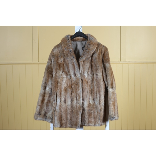 101 - A MUSQUASH FUR JACKET Size 8/10 together with A CONEY SKINS FUR COAT Size 10/12 (2)