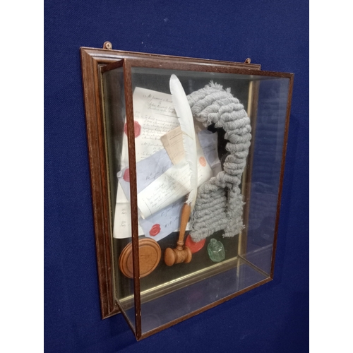 252 - A WALL MOUNTED SHOWCASE of Judges legal memorabilia 58cm (h) x 45cm (w) x 15cm (d)