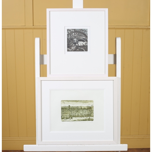 339 - MARY PLUNKETT Wren's Nest A coloured etching Limited Edition Signed and inscribed in the margin 16cm... 