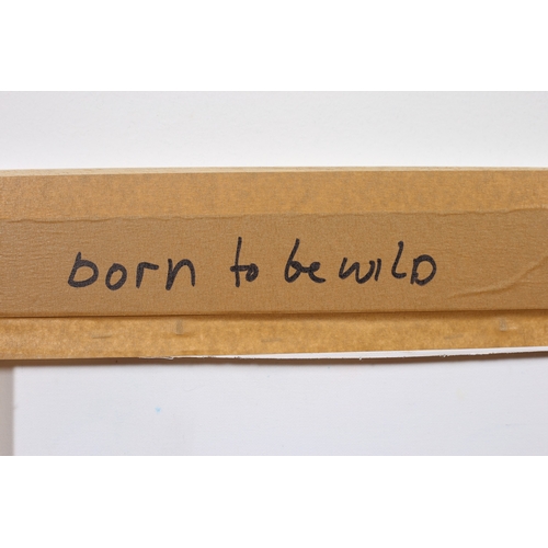 103 - TOM BYRNE 
Born to be Wild
Still Life 
Oil on canvas 
Signed lower right 
49cm (h) x 39cm (w)