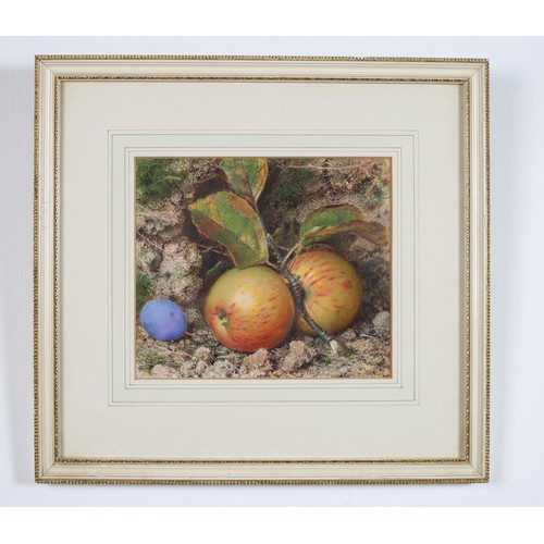 219 - CHARLES HENRY SLATER (1820 - 1890)
Still Lives with Apples and Plums on Mossy Banks
A Pair 
Watercol... 