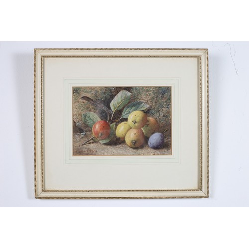 219 - CHARLES HENRY SLATER (1820 - 1890)
Still Lives with Apples and Plums on Mossy Banks
A Pair 
Watercol... 